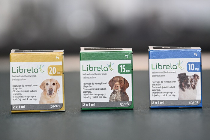 Aktuální trendy v terapii artrózy u psů – biologická léčba Librela